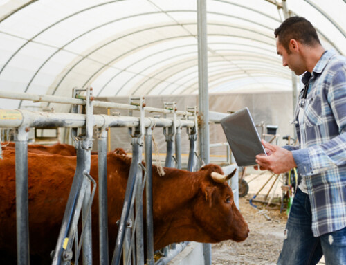 ERASMUS+ Edutraining Digital Livestock, il nuovo corso online sulle tecnologie digitali nel settore zootecnico