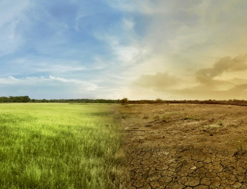 Pubblicato il Piano di Adattamento italiano ai Cambiamenti Climatici