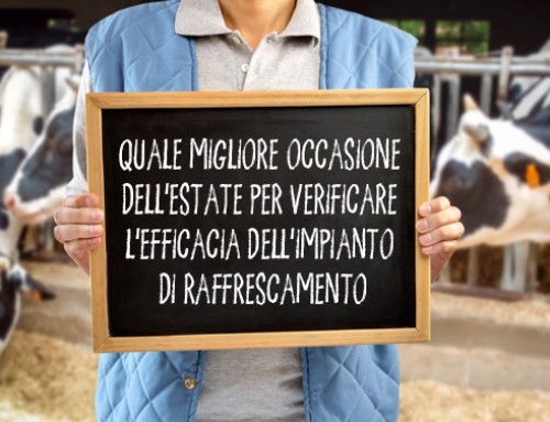 Quale migliore occasione dell’estate per verificare l’efficacia dell’impianto di raffrescamento