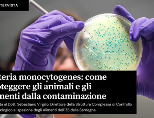 Listeria monocytogenes: come proteggere gli animali e gli alimenti dalla contaminazione