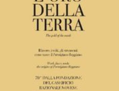 L’ oro della terra. Il lavoro, i volti, gli strumenti: come nasce il Parmigiano Reggiano. Ediz. italiana e inglese